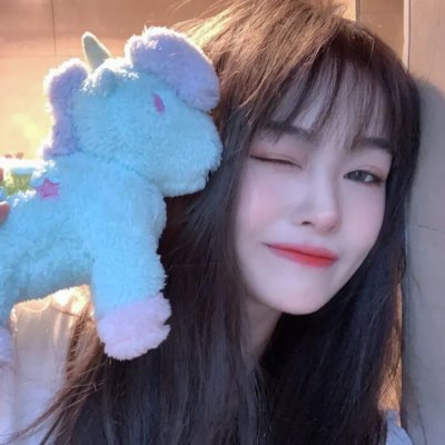 小迪兹的完美观念